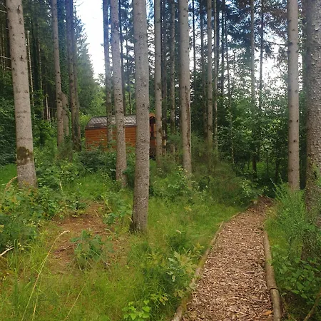 White Wood * Nonville